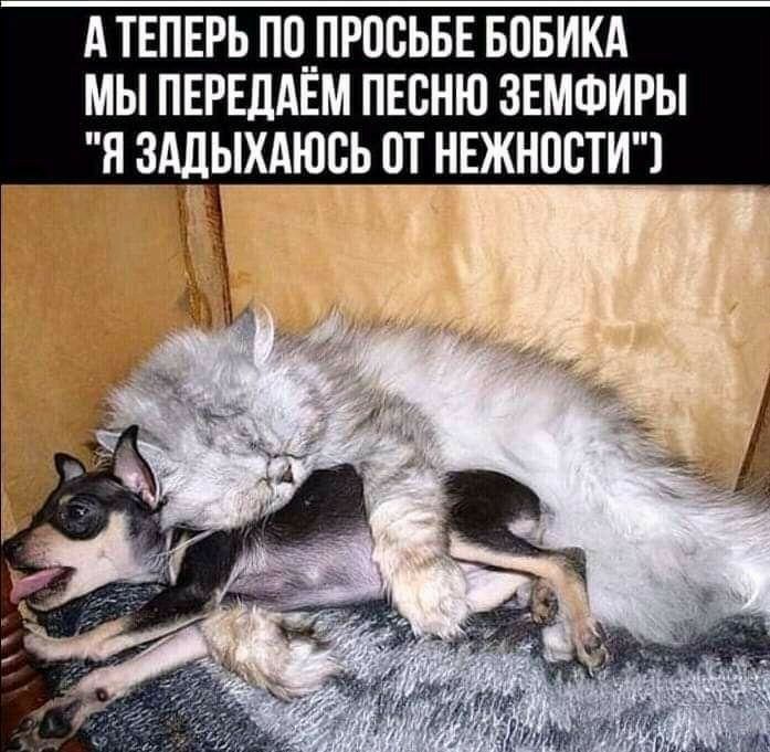 А ТЕПЕРЬ П0__ПРОСЬБЕ БОБИКА МЫ ПЕРЕЛАЕМ ПЕСНЮ ЗЕМФИРЫ Я ЗАДЫХАЮВЬ 0Т НЕЖНПСТИЧ