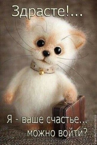 Я Ваше счастье _ 7 можно во