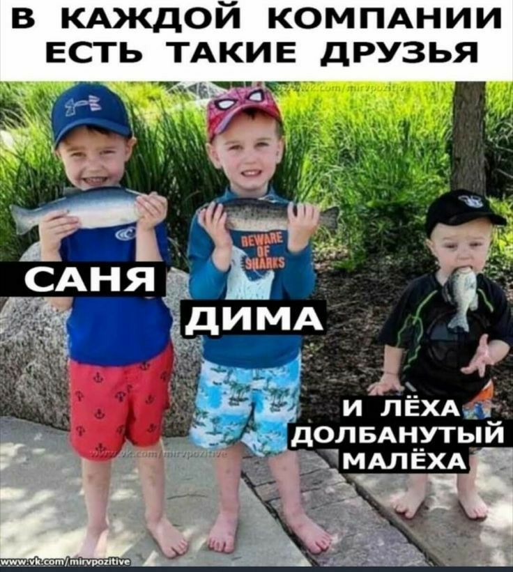 В КАЖДОЙ КОМПАНИИ ЕСТЬ ТАКИЕ ДРУЗЬЯ _ долвднутьдй _ МАлЁХА