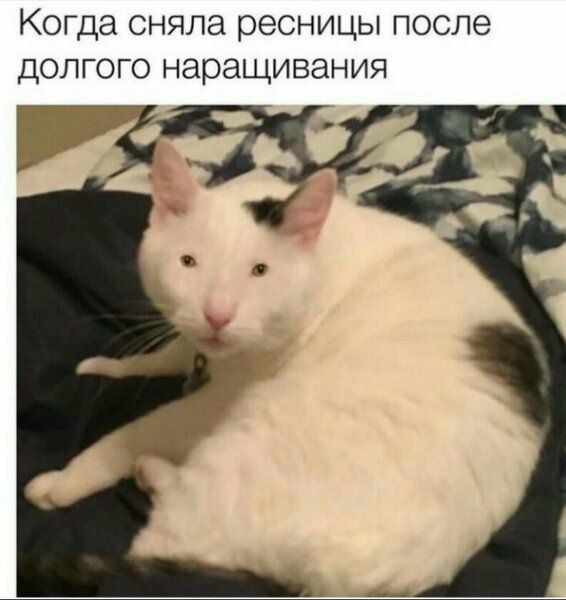 Когда сняла ресницы после долгого наращивания