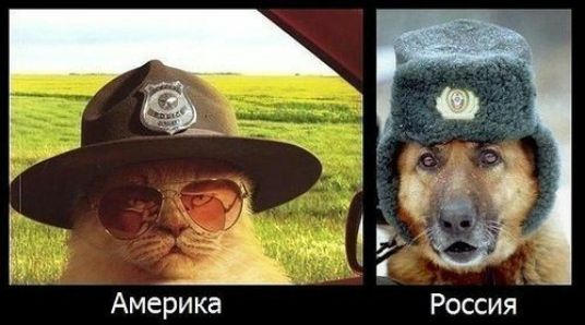 Россия америка