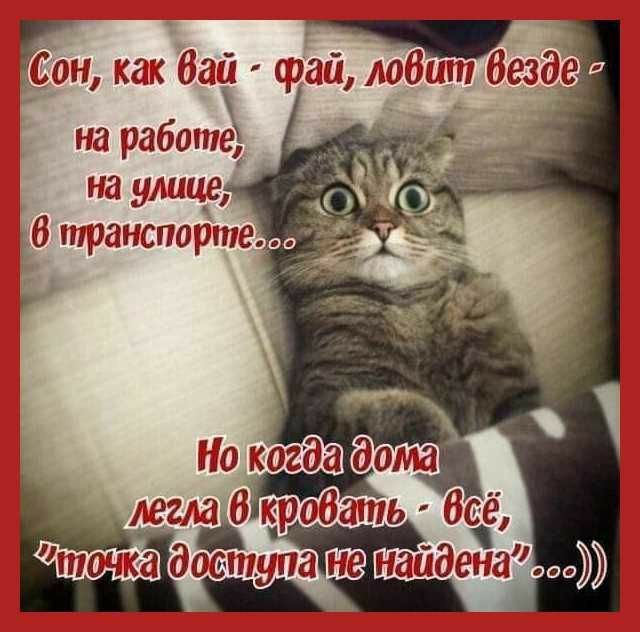 Йомж 6 орз т Мён штиёездёа на работе на умные