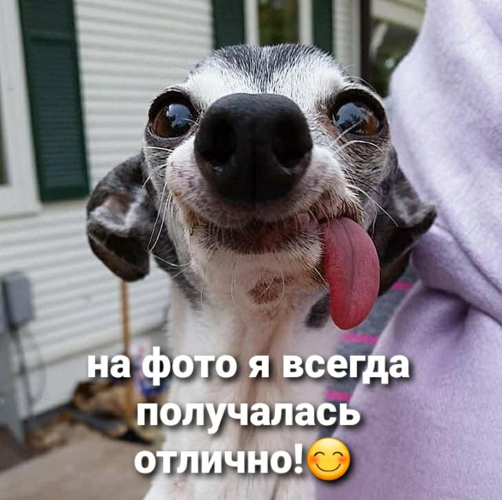 Отлично!
