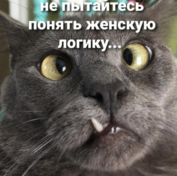 ть жёйсКую