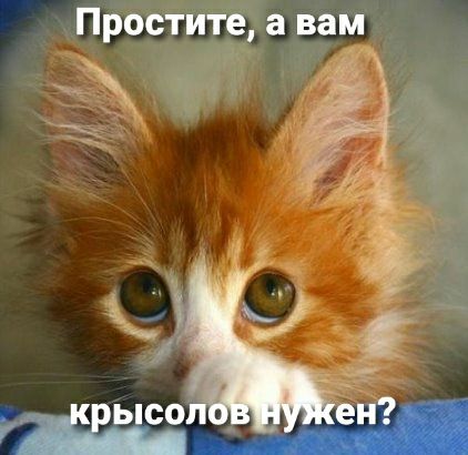 г_ 4 Простите а вам