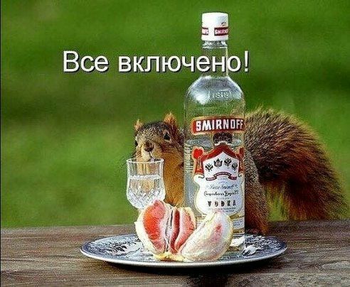 Все включен