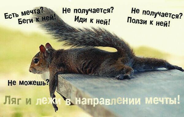 Не получается? Иди к ней! Н получается? Ползи к ней! Не можешь? »