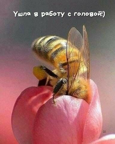 Ушло в работу с головой