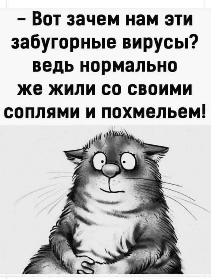 Вот зачем нам эти забугорные вирусы ведь нормально же жили со своими соплями и похмельем