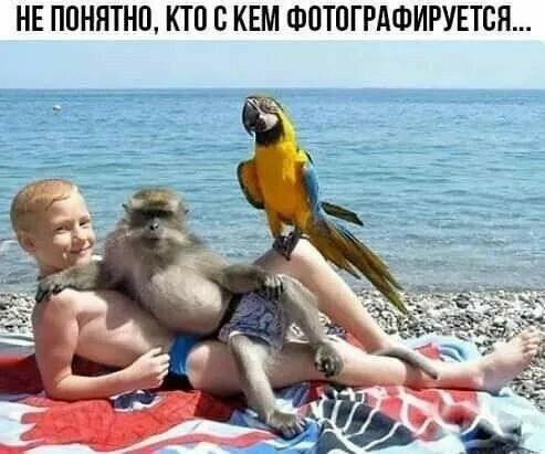 НЕ ППНЯТНП КТП С КЕМ ФПТПГРАФИРУЕТБН
