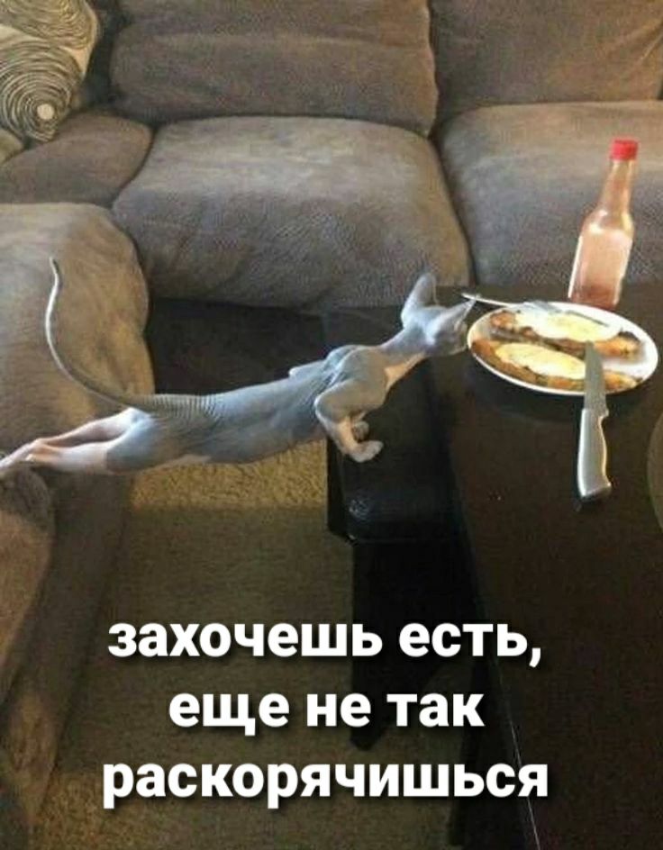 захочешь есть еще не так раскорячишься