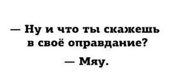 Ну и что ты скажешь в своё оправдание Мяу