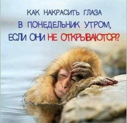 км нжщшгь глюА В ПОНЕДЕЛЬНИК УГРОМ ЕСЛі 0 м НЕ ОПФЬ ЗСХОЮЧ