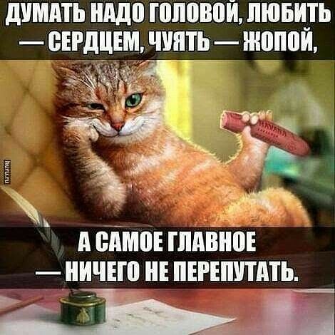 душить ШШ головой ПШБЩЪ Т_ЁЕРДЦЕЩ ЧИП игрищ 7 _ _ж А ВПШ ШВП ШЕШ НЕ ПЕРЕШППТЬ