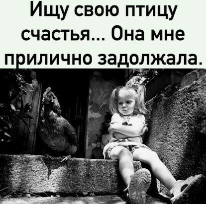 Ищу свою птицу счастья Она мне