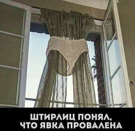 й к ПЕПЛШ шп ШТИРАИЦ ПОНЯА ЧТО ЯВКА ПРОВААЕНА