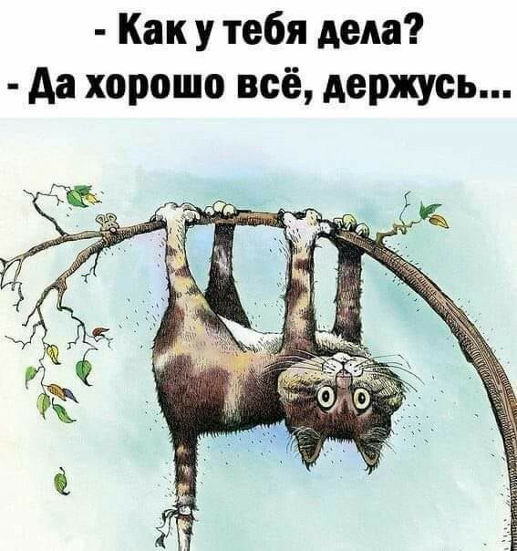 Как у тебя деда Аа хорошо всё держусь