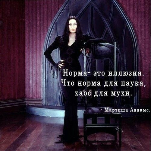 то в рма дл паука хат для мухи тётя Аддис