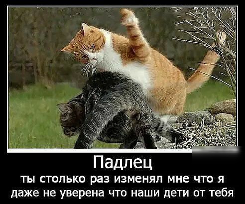 5 Падпец ТЫ СТОЛЬКО раз изменял мне ЧТО Я даже не уверена ЧТО наши дети ОТ Тебя