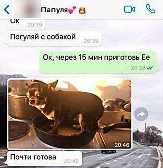 Папупя 35 00 ОК Погупяй с собакой Ок через 15 мин приготовь Ее 21 39