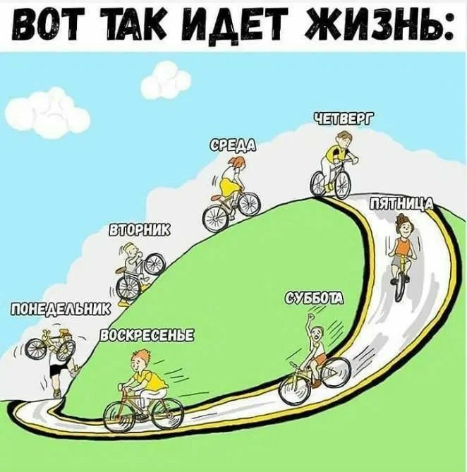 ВОТ ТАК ИДЕТ ЖИЗНЬ