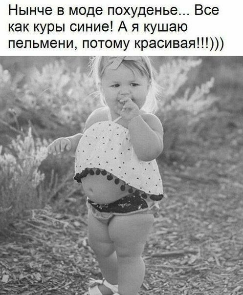 Нынче в моде похуденье Все как куры синие А я кушаю пельмени потому красивая