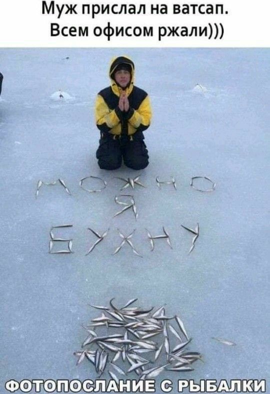 Муж прислал на ватсап Всем офисом ржали