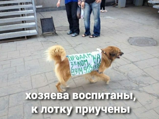 Ое ЧП вшшуиулнщ