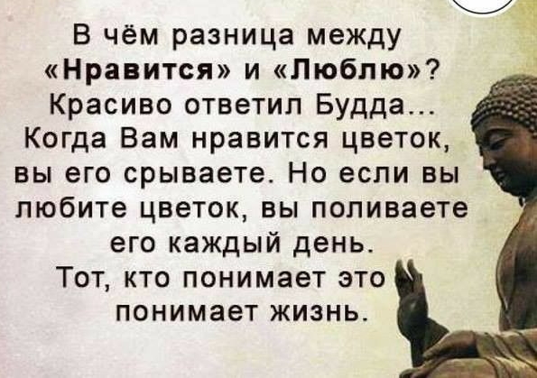 В чём разница между Нравится и Люблю Красиво ответил Будда Когда Вам нравится цветок вы его срываете Но если вы любите цветок вы попиваете его каждый день Тот кто понимает это понимает жизнь