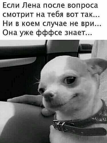 Если Лена после вопроса смотрит на тебя вот так Ни в коем случае не ври Она уже фффсе знает