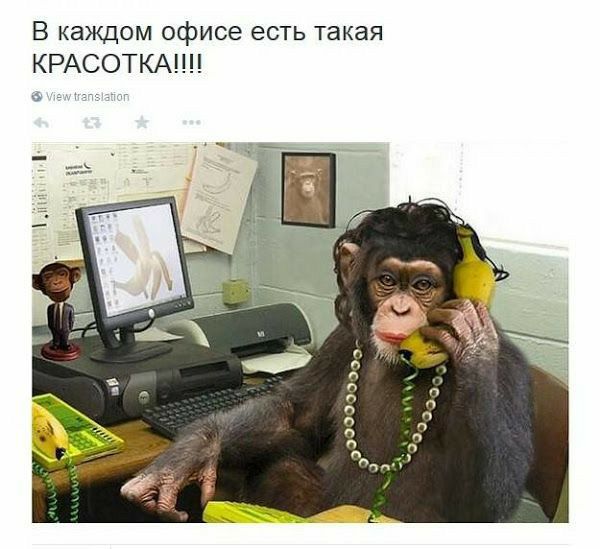 В каждом офисе есть такая КРАСОТКАНЦ