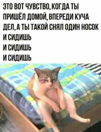 ЗТП ВПТ ЧУВСТЩ КПГЩ ТЫ ПРИШЁЛ ЦПМПИДПЕРЕЛИ КУЧА дЩА ТЫ ТМШИ СНИП БЛИН НПБПК И ВИЛИШЬ И СИЦИШЬ И ВИЦИШЬ _ 4 9 _