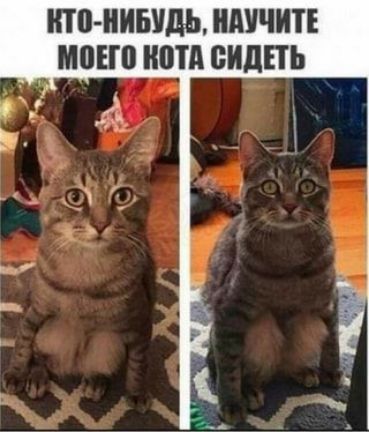 НТВ НИБУДЬ ШШЧИТЕ ММП ШПД ВИДЕТЬ