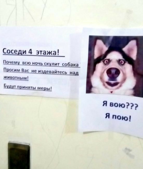 Соседи 4 этажа Щ м1 Ею ночь кул собака Пдезимвас ие издевайтесь пад ииыиым Бшцпддияты меры Явою Япою
