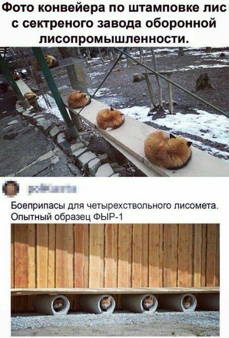 ФОТО конвейера ПО штамповке ЛИС с сектреного завода оборонной писопромышпенности _ х Боеприпасы для четырехствопьнот писомета Опытный образец ФЫР 1