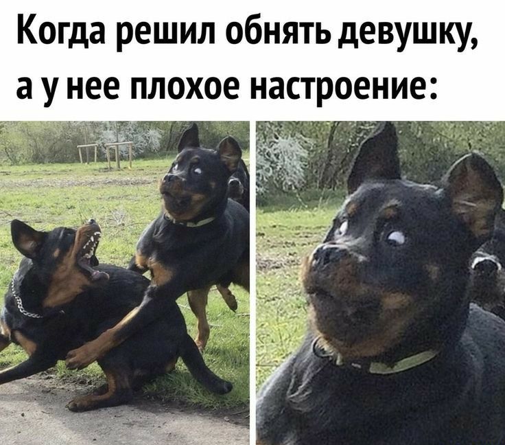 Когда решил обнять девушку а у нее плохое настроение