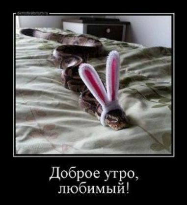 Доброе утро любимый