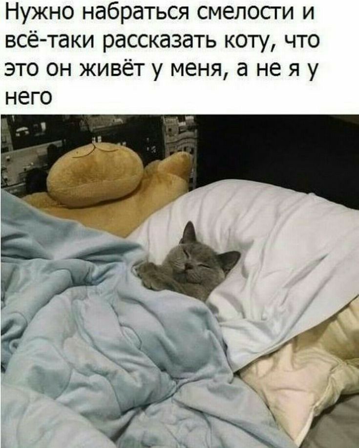 Нужно набраться смелости и всё таки рассказать коту что это он живёт у меня а не я у