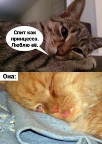 Спит как приицесся Люблю еь