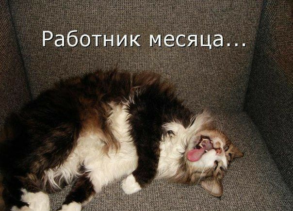 Работник месяца...