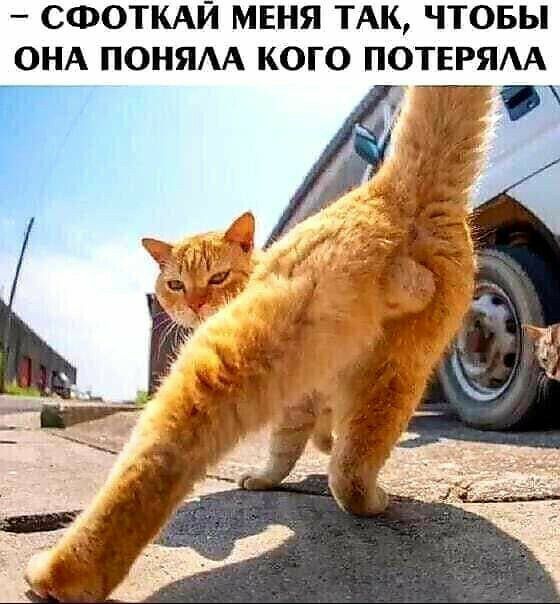 СФОТКАЙ МЕНЯ ТАК ЧТОБЫ ОНА ПОНЯАА КОГО ПОТЕРЯА