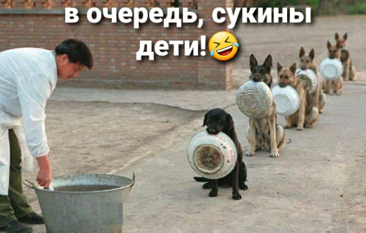 __ередь см кины