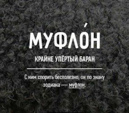 мушмін КРАЙНЕ УПЁРШЙ БАРАН Вини пилить Беспппеэтъ пи пп знаку зодиака