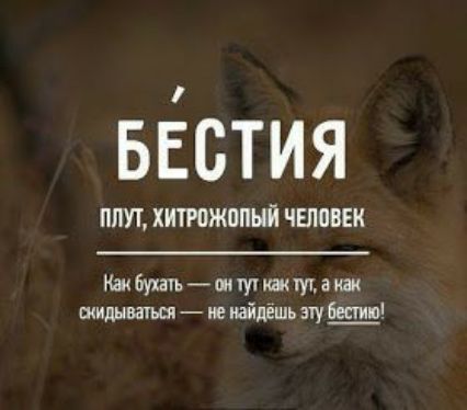 вЁстия ППУТ ХИТРВЖОПЫЙ ЧЕППВЕК тМапшмшщаш щидывагъшшиайдёшь зчу Бест 1