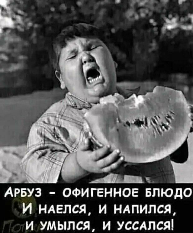 14 Арвуз офигенног Блюдо И Нделся и НАПИПСЯ и умылся и уссдлся