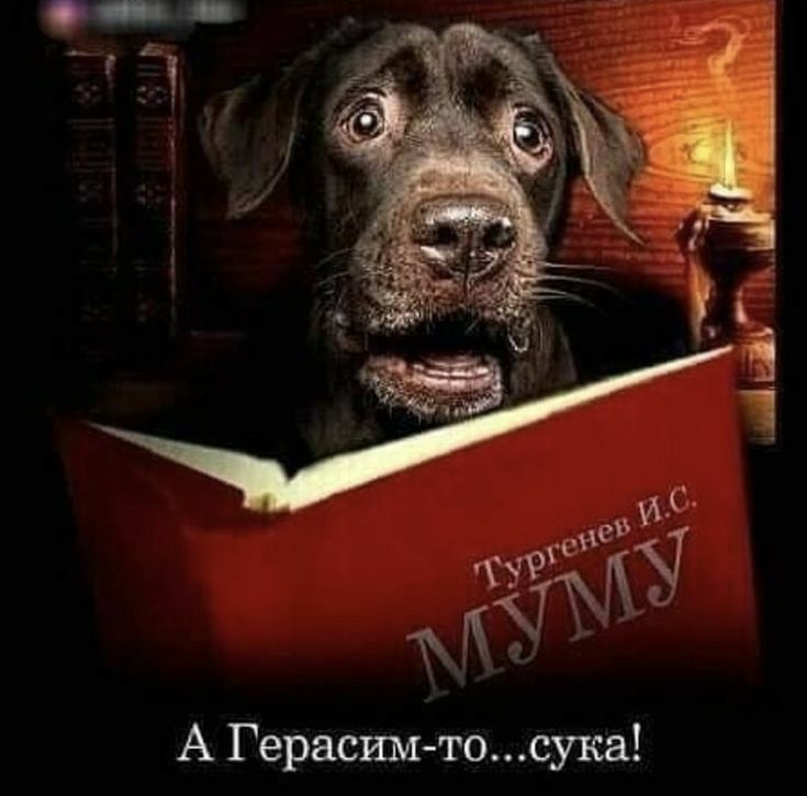 А Герасшдтосука