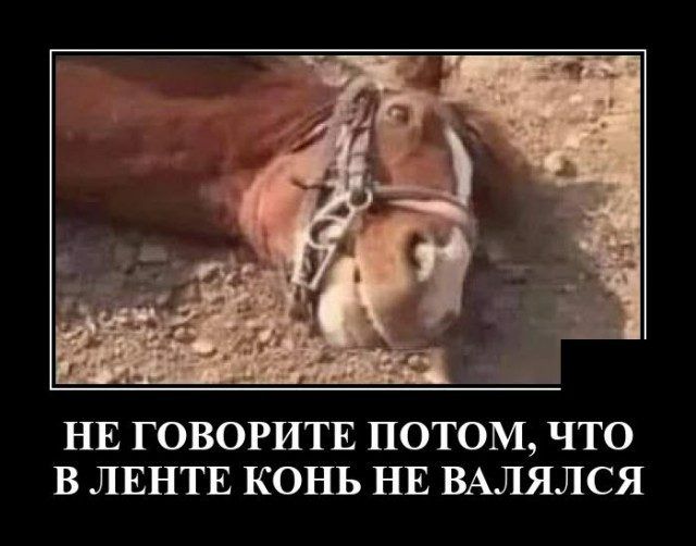 НЕ ГОВОРИТЕ ПОТОМ ЧТО В ЛЕНТЕ КОНЬ НЕ ВАЛЯЛСЯ