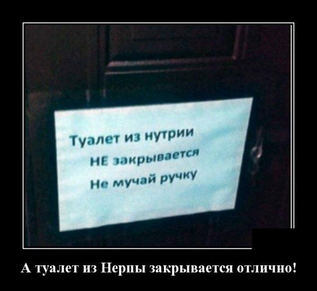 У1 И4 П Н ыщплп У У _ му РУ А туалет из Нерпы закрывается отлично