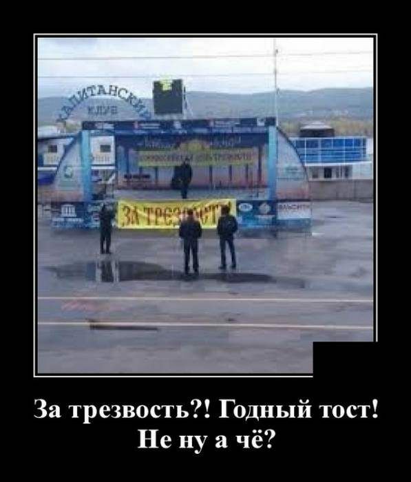 За трезвость Годный тост Не ну а чё
