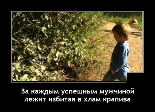 За каждым успешным мужчиной лежит избитая в хлам крапива